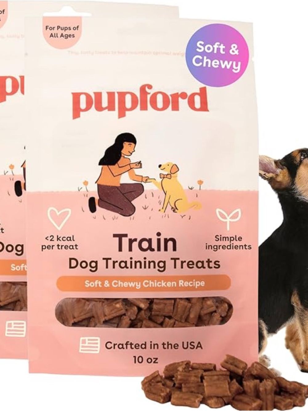 PupFord Train- Soft & Chewy Chicken Recipe Dog Training Treats Crafted in USA